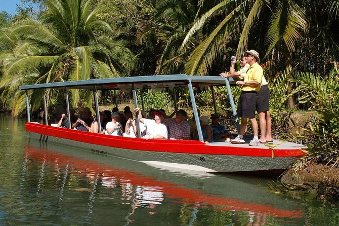Damas Island Mangrove Boat Tour with Wildlife from Manuel Antonio - Two hours on the water: the mangrove boat ride through Isla Damas