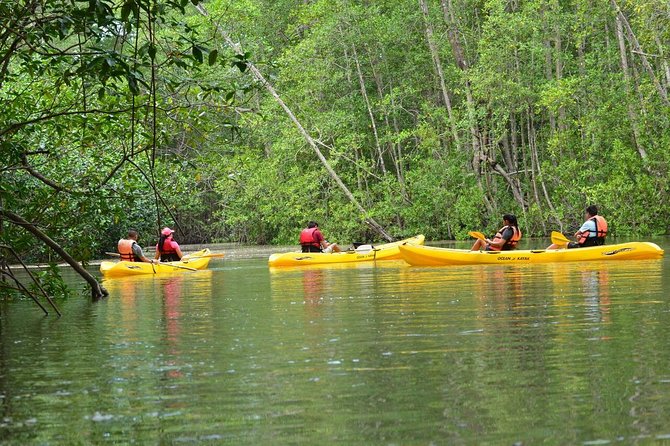 Damas Island Mangrove Kayaking Tour from Manuel Antonio - Key Things I’d Watch For Before You Go