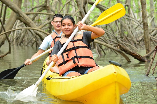 Damas Island Mangrove Kayaking Tour from Manuel Antonio - Why Isla Damas Mangroves Are a Standout Paddle From Manuel Antonio
