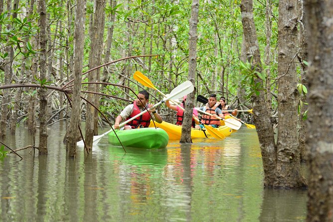 Damas Island Mangrove Kayaking Tour from Manuel Antonio - On the Water: Kayaking the Isla Damas Mangrove Maze