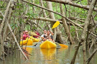 Damas Island Mangrove Kayaking Tour from Manuel Antonio - Tucanes Tours Logistics: Pickup, Tides, and Small-Group Feel