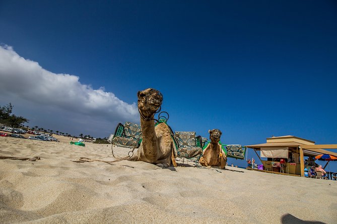 Day trip to Fuerteventura from Lanzarote - Return to Lanzarote: 17:15–17:20 Departure and an 18:00 Arrival