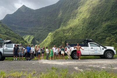 Découvrez le Mana durant la traversée de Tahiti en 4x4 Safari - Waterfalls, Viewpoints, and Plant Stops: How the Tour Keeps Moving