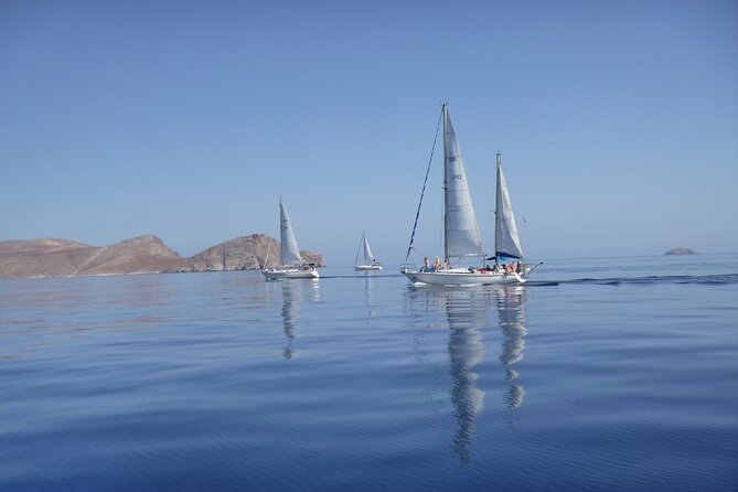 Dia island : Small Group Sailing Trip to Dia Island with Lunch - From Old Venetian port to Dia: what the sailing time is really for