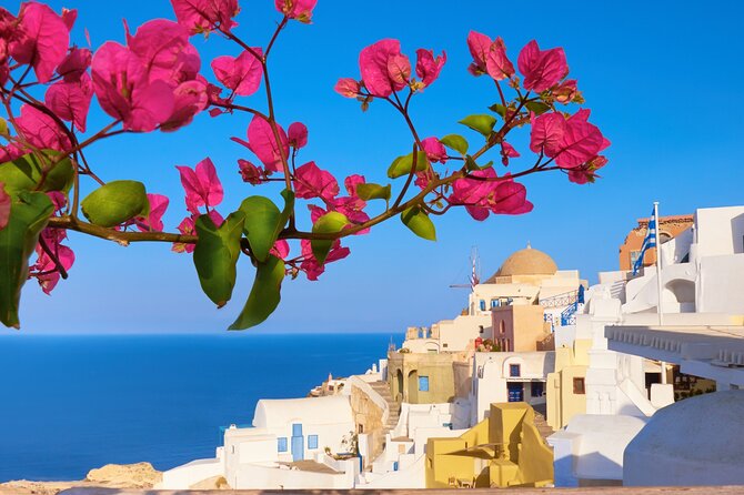 Discover Best Of Santorini with Locals Small Group Half Day Tour - Price and Value: What You’re Paying For at $90.51