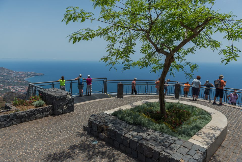 Discover Madeira: Full-Day Tour to Porto Moniz - Porto Moniz volcanic pools: a quirky Madeira stop that’s actually memorable