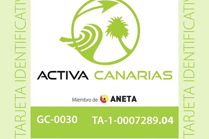 Discover Scuba Dive in Gran Canaria - Weather rules, timing risk, and what to do if things feel off