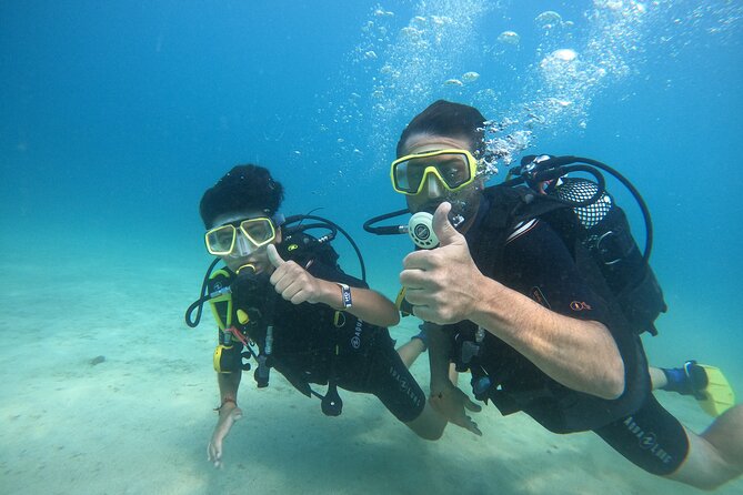 Discover Scuba Dive in Gran Canaria - What the morning looks like: 8:30 am start, pickup areas, and the meeting point