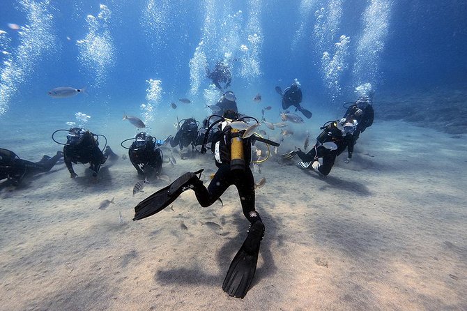 Discover Scuba Diving - Key things that make this experience worth it