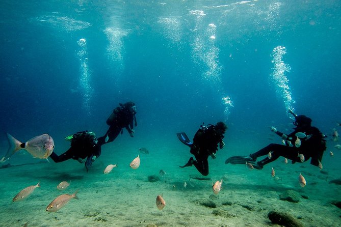 Discover Scuba Diving - Safety and medical limits: take them seriously