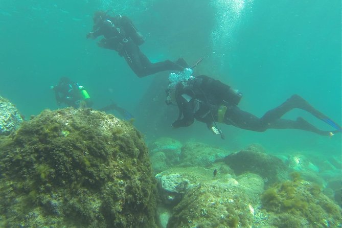 Discover scuba diving - Who this is best for (and who should consider other options)