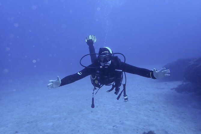 Discover Scuba Diving . First Experience underwater - Key things to know before you go