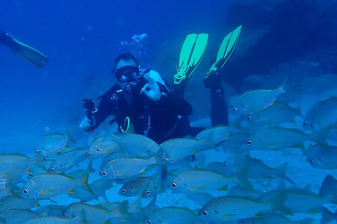 Discover Scuba Diving . First Experience underwater - Your small-group experience (up to 10 people): the real value