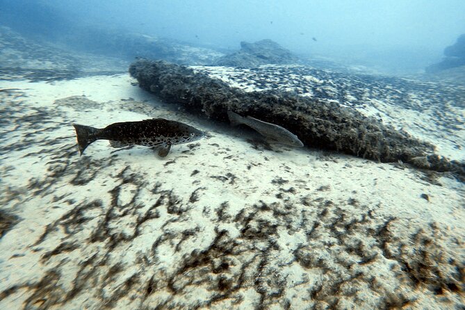 Discover Scuba Diving in Costa Calma - Equipment and comfort: thick wetsuits and organized gear setup