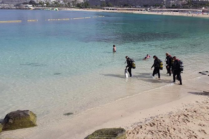 Discover Scuba diving in Gran Canaria with Hotel Pick-up - Photos and videos: optional, easy to request