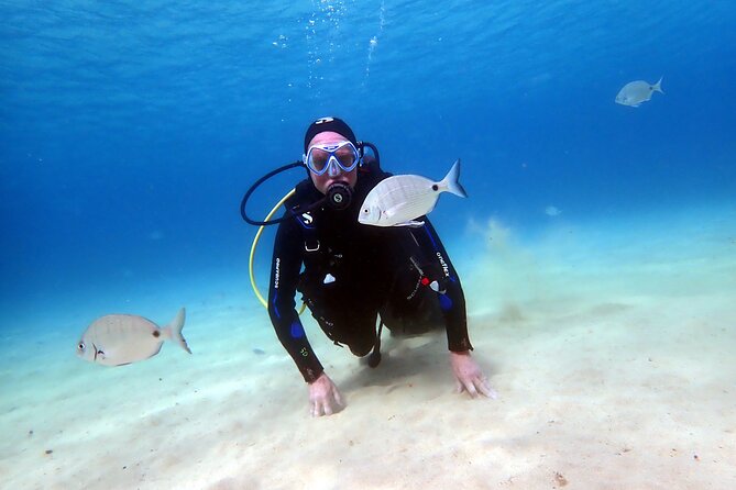 Discover Scuba Diving in Lanzarote (Costa Teguise) - Your Instructor Ratio: What 3 Travelers Per Instructor Really Means