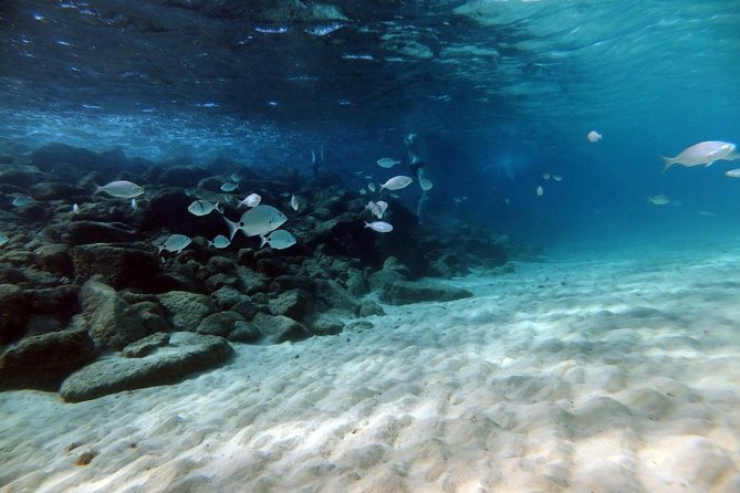 Discover Scuba Diving in Lanzarote (Costa Teguise) - Transfers from Costa Teguise, Tahiche, and Arrecife: Easy Pickup, Less Hassle