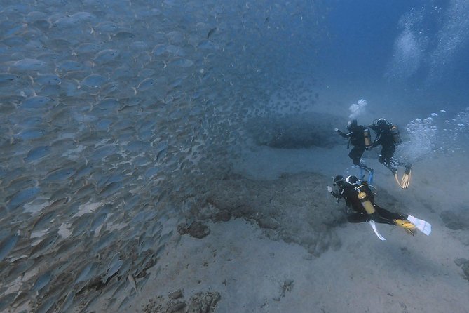 Discover Scuba Diving in Puerto de Mogan - Tips that make your session smoother (and less stressful)