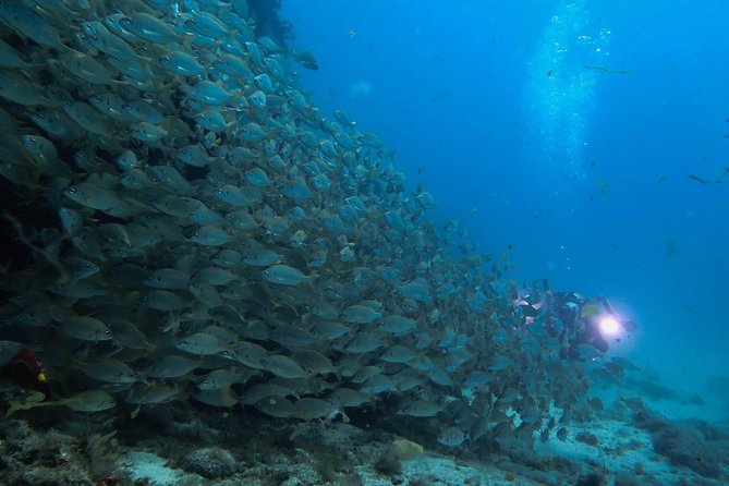 Discover Scuba Diving in Puerto de Mogan - Pool practice: confidence comes from controlled reps, not luck