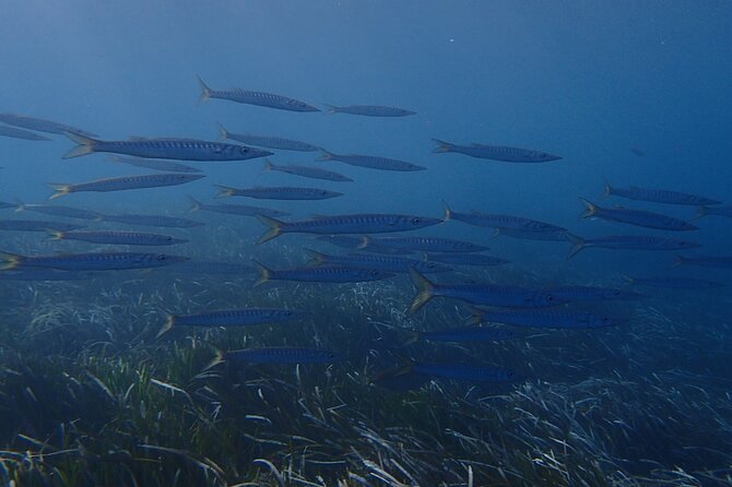 Discover Scuba Diving in Santorini - Shore Entry in Kamari Changes the Whole Experience