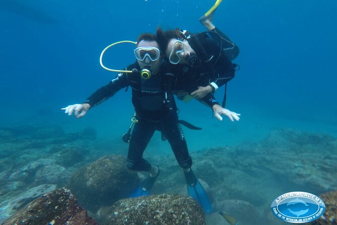 Discover Scuba Diving in Tenerife - The 35-minute briefing that sets expectations (and keeps you calm)