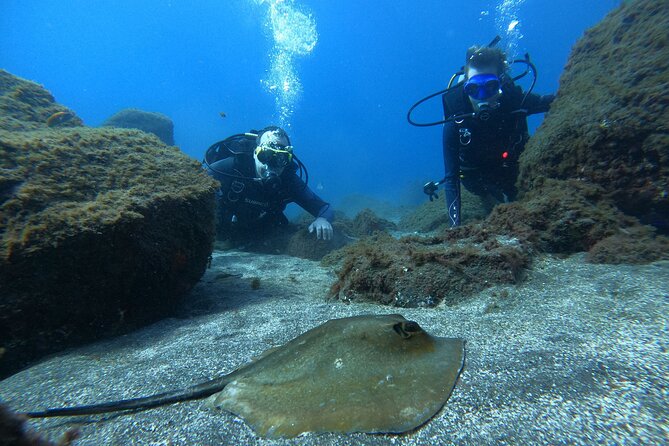 Discover Scuba Diving in Tenerife - Weather, wind, and the 12-hour no-fly rule