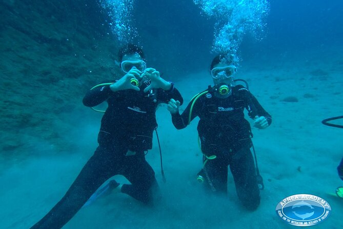 Discover Scuba Diving in Tenerife - Who this private max-5 scuba session is best for
