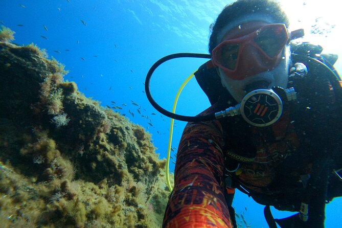 Discover Scuba Diving in Tenerife - Should you book this Tenerife first scuba session?