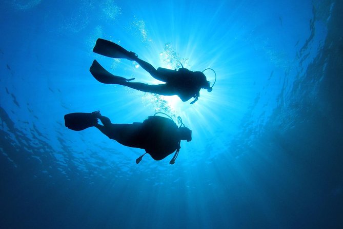 Discover Scuba Diving in Tenerife - Gear rental, photos and videos, and the certificate you’ll take home