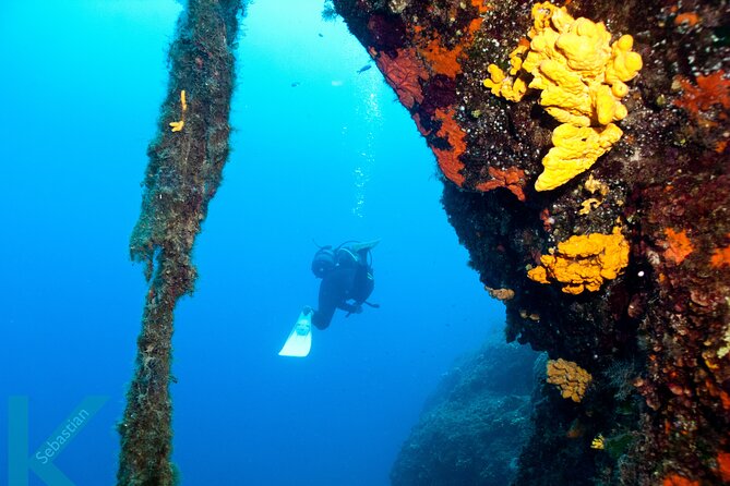 Discover Scuba Diving in the Caldera of the Volcano in Santorini - Inside the Akrotiri caldera: where your lesson begins