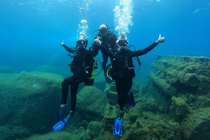 Discover Scuba diving in Villasimius - Marine life at shallow depth: Posidonia to barracuda