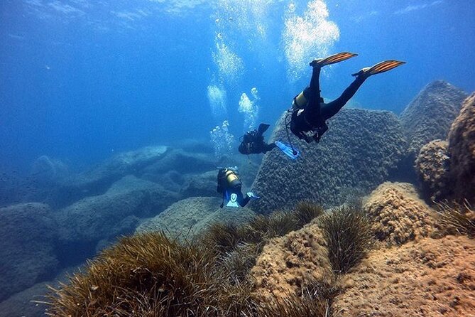 Discover Scuba diving in Villasimius - Who this experience fits best—and who should pause