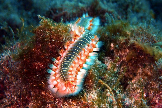Discover Scuba Diving - Try it for the first time! - The meeting point: show up ready to learn