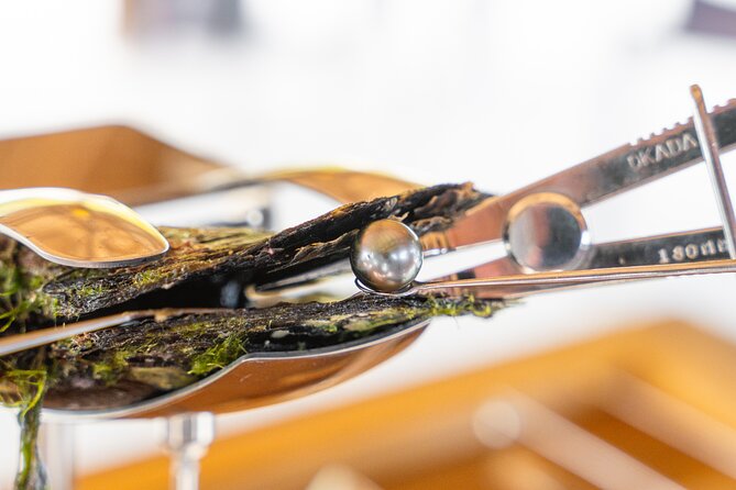 Discover the black pearl in Bora Bora - Motu Taufarii orientation: history, pearl farming, and lagoon views