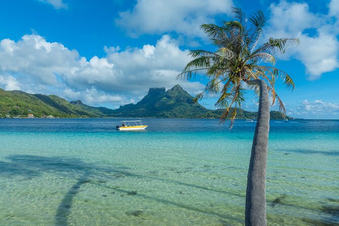Discover the black pearl in Bora Bora - Who should book this pearl farm experience