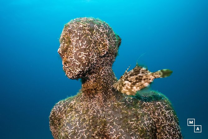 Discover the underwater world of Lanzarote - Your 1:1 Scuba Try-Out, Right by Puerto del Carmen