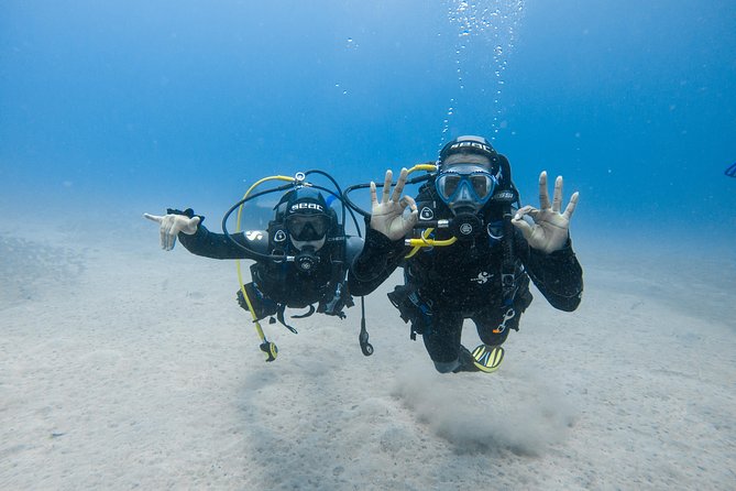 Discover the underwater world of Lanzarote - The Photo Bonus: Don’t Lose the Memory