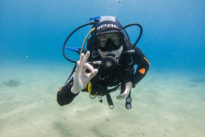 Discover the underwater world of Lanzarote - Language and Instructor Style: Support That Adjusts