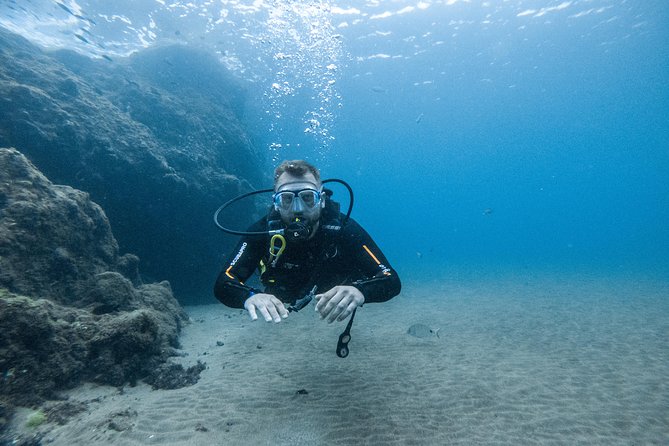 Discover the underwater world of Lanzarote - Logistics That Make Your Day Easier