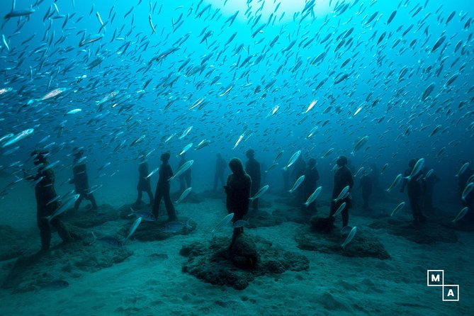Discover the underwater world of Lanzarote - What Happens Before You Go Underwater