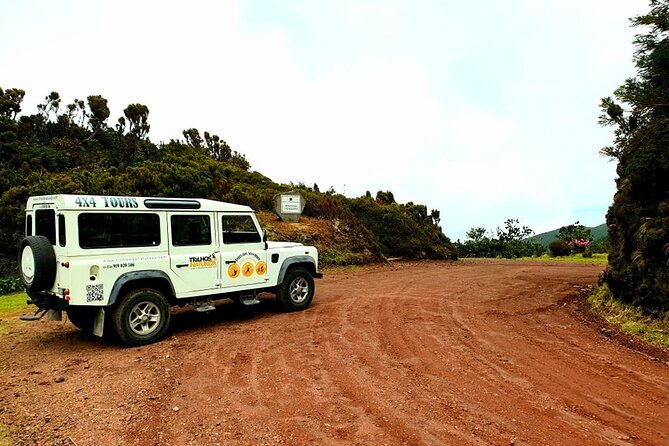 Discover the unexplored beauty of the island by jeep the Nordeste - What the guide actually does for you (and why names matter)