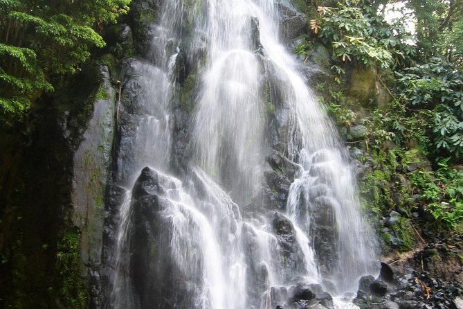 Discover the unexplored beauty of the island by jeep the Nordeste - Stop 1: Serra da Tronqueira and the bullfinch habitat viewpoint