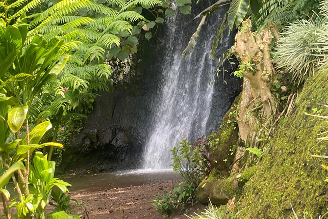 Discovery of Tahiti Nui Island - Key things to know before you go