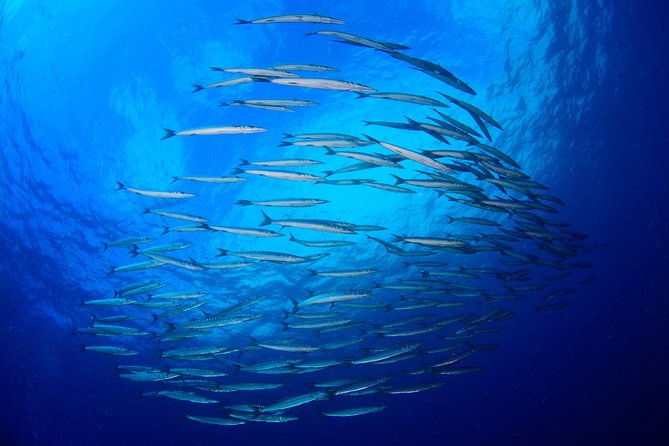 Dive Christening - Gear setup: the part you’ll be glad they handle