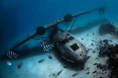 Diving day - The crew and guides: setup help, safety vibe, and real communication