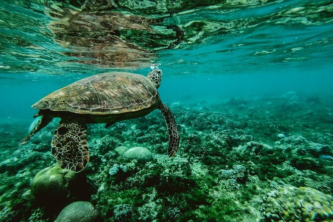 Diving day - Between sessions: why the day doesn’t feel frantic