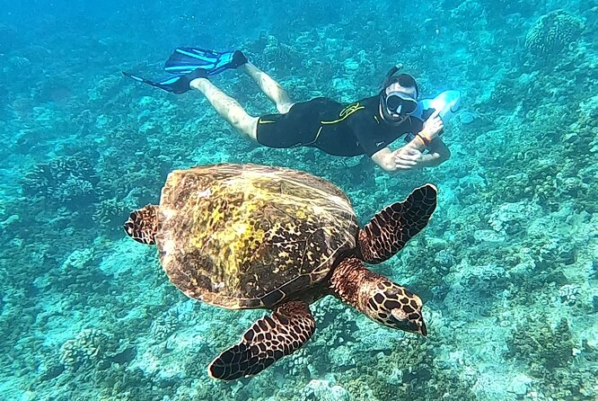 Diving day - Who should book this scuba day (and who should skip it)