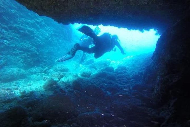 Diving for patented divers - First Underwater Session: 40–45 Minutes with 1 Instructor