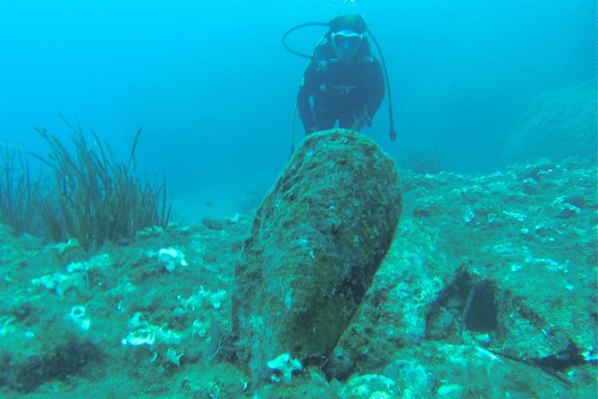 Diving for patented divers - The Short Boat Transfer: Fast Getting-There, Less Waiting