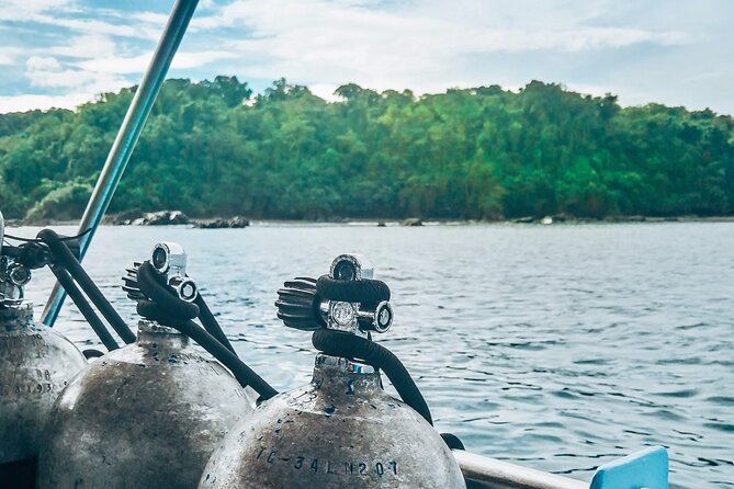 Diving tour in Isla del Caño for certified divers - Key Highlights You’ll Feel During the Day